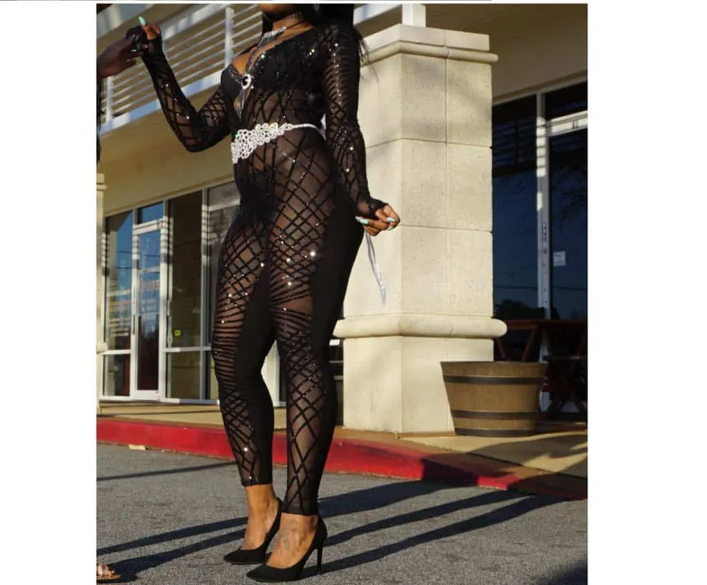 Zennra Sequin and Mesh Jumpsuit